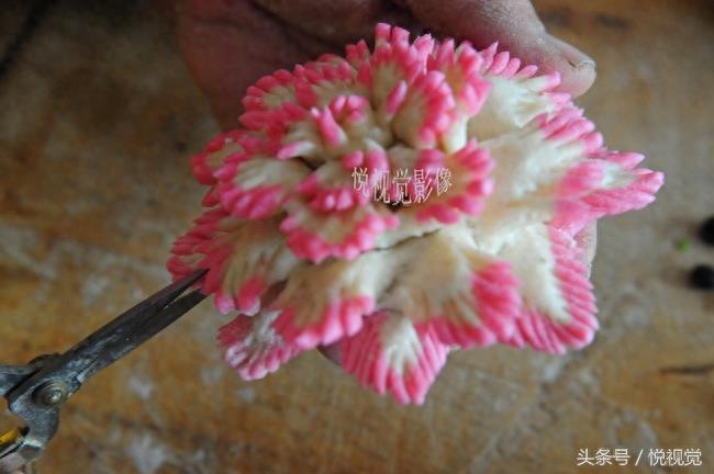 小年到花糕香，看看这些花糕，美的不得了，你还舍得吃吗