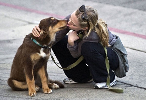 好莱坞四小花旦之一阿曼达街头跟宠物秀的一手好恩爱