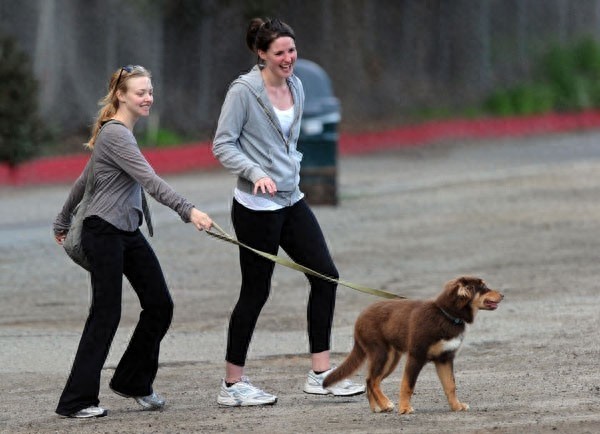 好莱坞四小花旦之一阿曼达街头跟宠物秀的一手好恩爱