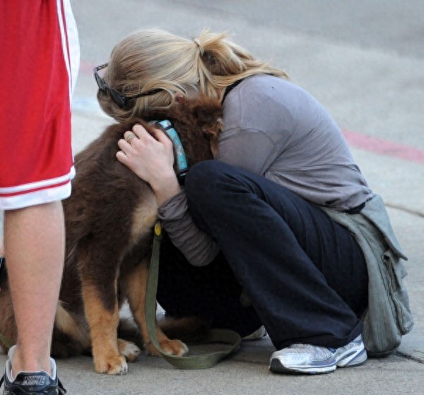 好莱坞四小花旦之一阿曼达街头跟宠物秀的一手好恩爱