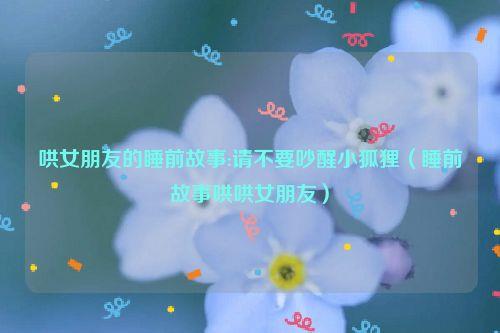 哄女朋友的睡前故事:请不要吵醒小狐狸(睡前故事哄哄女朋友)