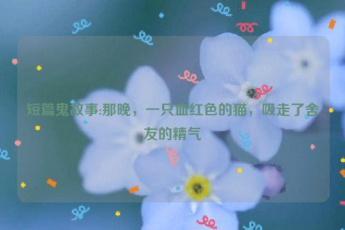 短篇鬼故事:那晚,一只血红色的猫,吸走了舍友的精气