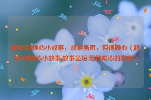 超短5则暖心小故事,故事虽短,但很暖心(超短5则暖心小故事,故事虽短,但很暖心的意思)