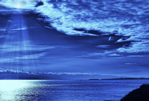1704991262542887.png image.png