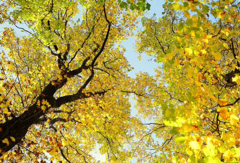 1704991760290284.png image.png