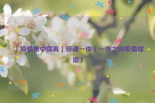 「疫情集中隔离」惊魂一夜(一夜之间疫情肆虐)
