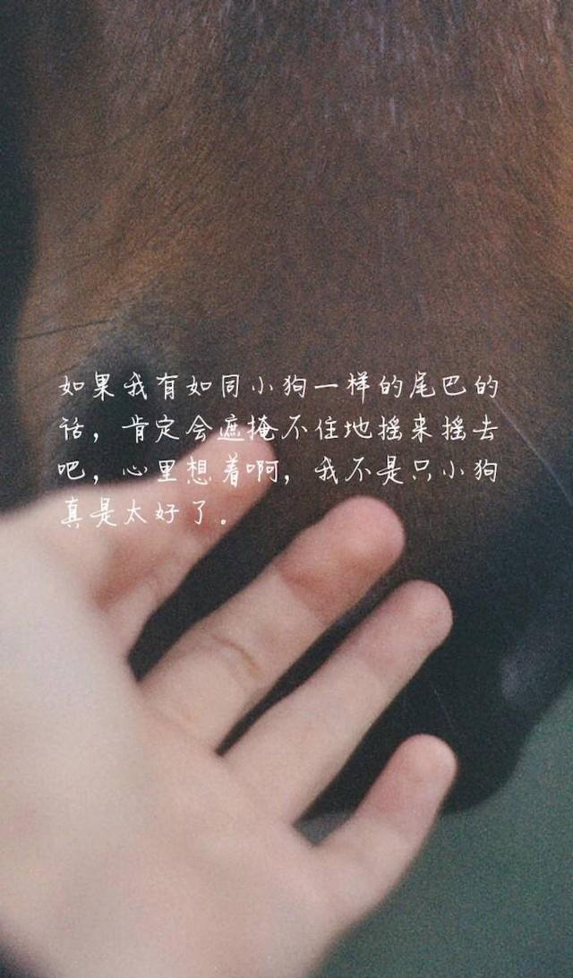 超清文字壁纸，每一段话都有一个感人的故事